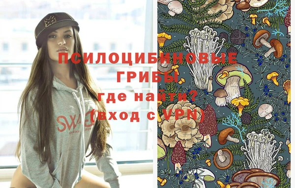 МДПВ Алексеевка
