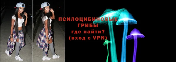 МДПВ Алексеевка