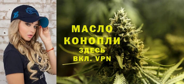 гидра Абаза