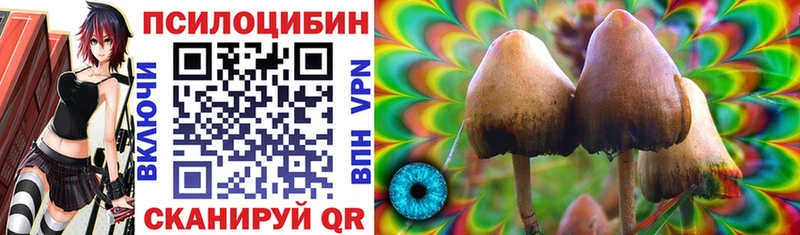 Галлюциногенные грибы Cubensis  купить  цена  даркнет как зайти  Сатка 